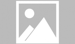 91live我就要直播,打造个性化直播新体验